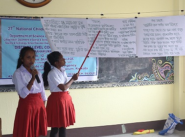 Formal Education_Science and Mathematics